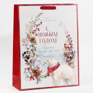 Пакет ламинированный вертикальный «Время чудес», L 31 × 40 × 11,5 см